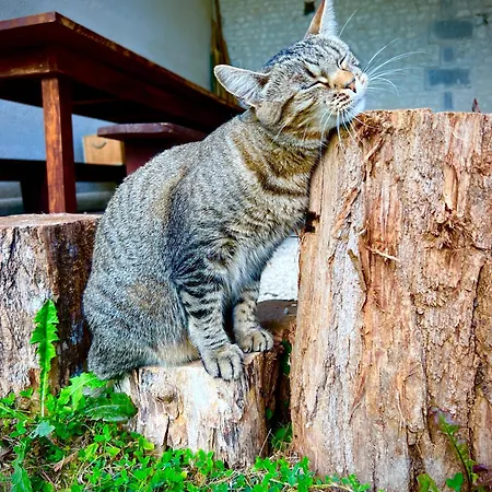 De Charme à La Campagne&spa Privatif Pour Deux